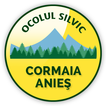 Acasă